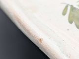 a close up of a plate with a flower design on it
