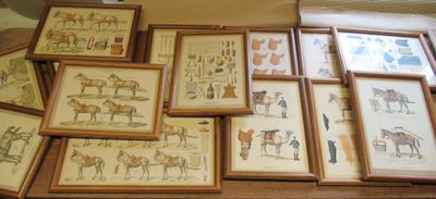 plusieurs photos encadrées de chevaux et de personnes sur une table