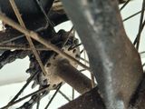 a close up of a bicycle tire with a chain on it