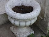 a small potted plant sitting on the steps of a house