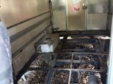 an image of a truck with a bunch of trash inside of it