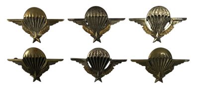 six insignes militaires ornés d'ailes, sur fond blanc