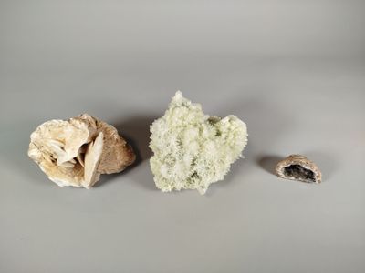 two mushrooms that are next to each other on a table