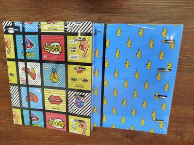 Lot de 34 classeurs de la marque LIDERPAPER