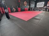 a view of the inside of a boxing ring with a punching bag