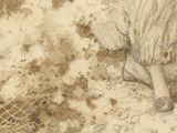 a drawing of a giraffe that is standing in the dirt