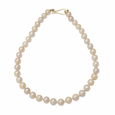 a white pearl necklace with a gold clasp on a white background