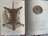 an open book with a drawing of a tiger on it ' s back