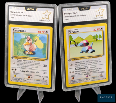 deux cartes Pokémon dans des pochettes en plastique sur fond noir