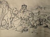 dessin représentant un groupe de lions dans un paysage rocheux
