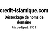 Photo 1/1 du lot