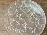 a glass bowl with a lot of small leaves on it