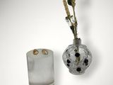 un vase en verre contenant une plante, à côté d'un porte-clés