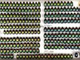 a lot of beetles that are on display in a box