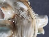 a close up of a figurine of a bird on a shell