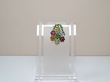 a clear display case with a pair of earrings on it