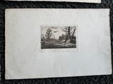 deux photographies en noir et blanc représentant un paysage avec des arbres au loin