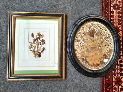 deux tableaux encadrés accrochés au mur, à côté d'un tapis