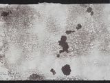 a black and white photo of a piece of paper with spots on it