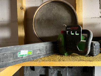 Tronçonneuse électrique Florabest