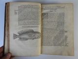 someone is holding a book with a drawing of a fish on it