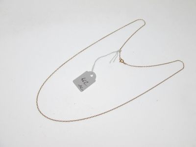 gros plan d'un collier auquel est attachée une étiquette