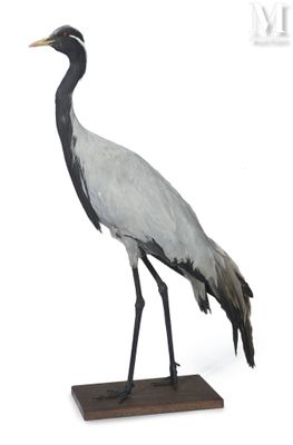 a statue of a crane standing on a wooden base