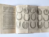 an open book with a picture of horseshoes on it