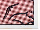 Photo 4/10 du lot