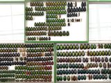 many different types of beetles on display in a display case