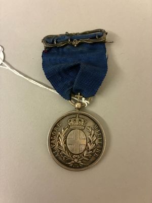 l'image d'une médaille ornée d'un ruban bleu sur un fond blanc