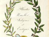 an illustration of a wreath with a snake in the middle of it