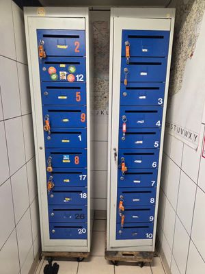 deux casiers bleus dans une salle de bains, avec un chat assis par terre