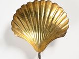 a gold shell shaped object hanging on a wall