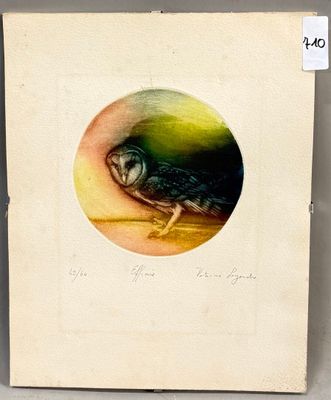dessin représentant un oiseau dans un cercle sur une feuille de papier