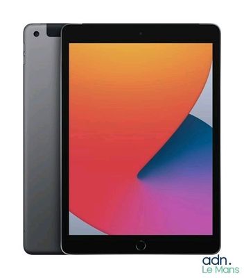 Apple iPad (8th generation) + Cellular Gris sidéral 32GB - P…