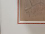 a picture of a drawing of a horse in a picture frame