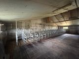 a room with a bunch of cages on the floor