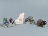 Plusieurs types de roches et de pierres sont exposés sur des blocs de verre.
