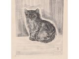 drawing of a cat sitting on a window sill in a window sill
