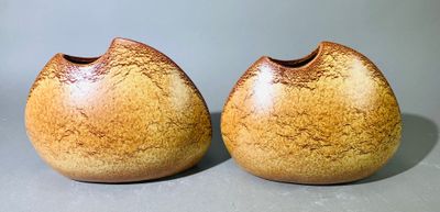 deux vases posés sur une table