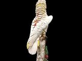 statue of a cockatoo perched on a branch with a flower on it ' s head