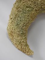 Gaetano PESCE (1939-2024) dans le goût de (photo 6)