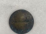 an image of a bronze medal on a white surface