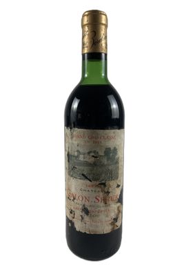 gros plan d'une bouteille de vin sur fond blanc
