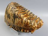 a piece of meat that is sitting on a metal stand