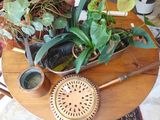 une table en bois sur laquelle se trouve une plante en pot