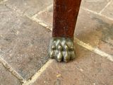 a close up view of a dog ' s paw on a table