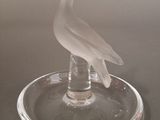 a white bird sitting on a glass plate on a table