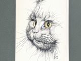 a picture of a drawing of a cat on the wall